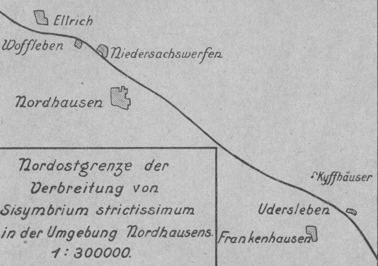 Datei:Nordostgrenze der Verbreitung von sisymbrium strictissimum in der Umgebung Nordhausens.jpg