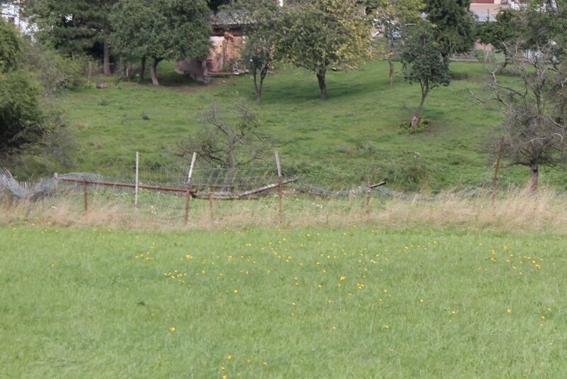 Datei:Verlandete Teiche im alten Gutsgarten (2015).jpg
