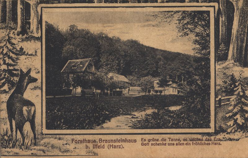 Datei:Braunsteinhaus Ansichtskarte 1919.jpg