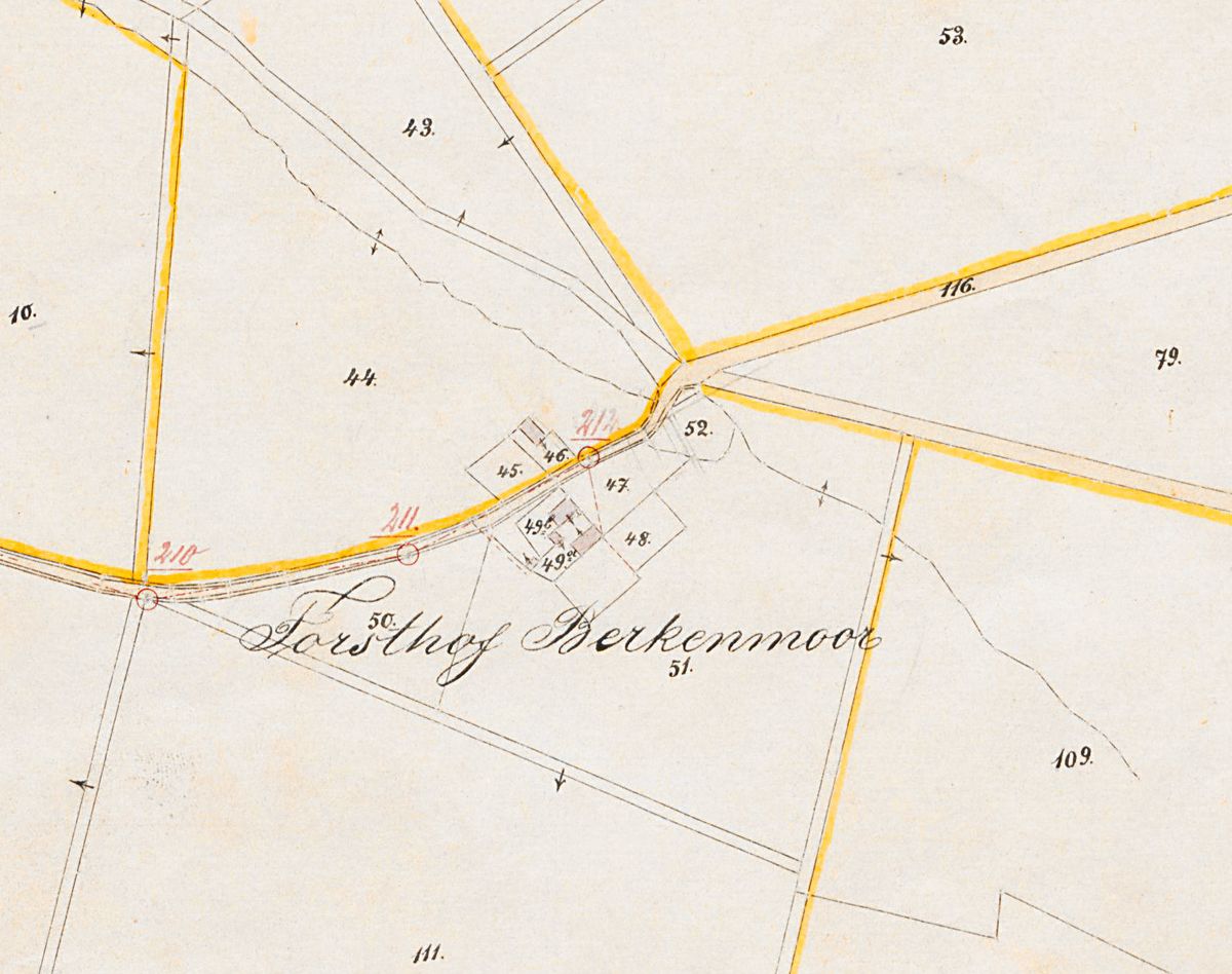 Birkenmoor NordhausenWiki